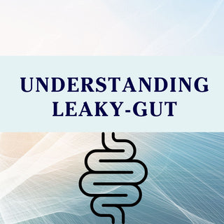 A guide to understanding leaky gut in pets