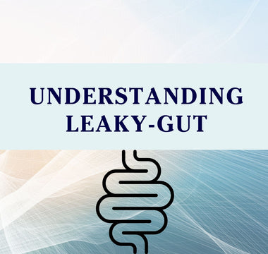 A guide to understanding leaky gut in pets