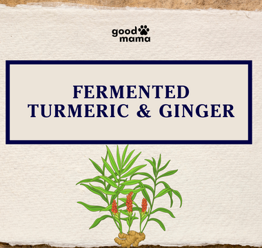 The Power of Fermented Turmeric - Ginger for Pets