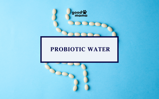 Probiotic Fruity Water for Pets