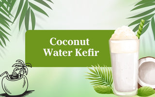 Coconut Water Kefir – The Lesser Known Super Drink for Pets