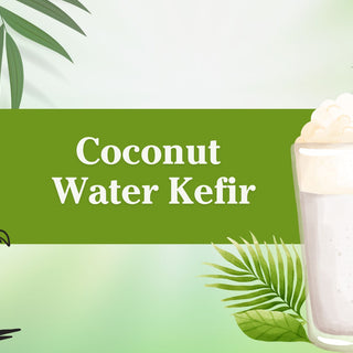 Coconut Water Kefir – The Lesser Known Super Drink for Pets