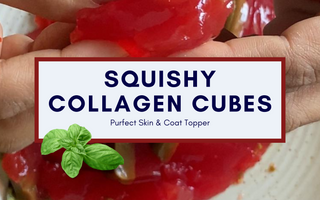 Fish Collagen Treats for Pet's Skin & Coat