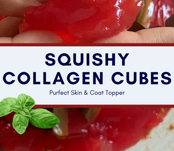 Fish Collagen Treats for Pet's Skin & Coat