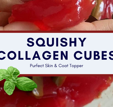 Fish Collagen Treats for Pet's Skin & Coat