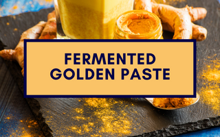 Fermented Turmeric Ginger Golden Paste: A Golden Secret for Winter Pet Care