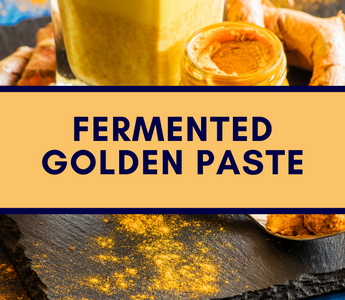 Fermented Turmeric Ginger Golden Paste: A Golden Secret for Winter Pet Care