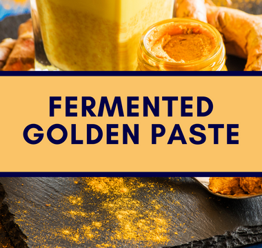 Fermented Turmeric Ginger Golden Paste: A Golden Secret for Winter Pet Care