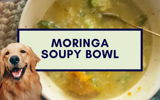 Warm Soupy Bowl for Pets