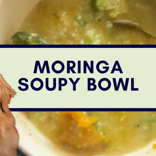 Warm Soupy Bowl for Pets