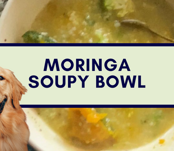 Warm Soupy Bowl for Pets