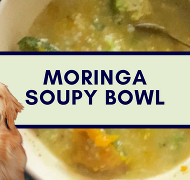 Warm Soupy Bowl for Pets