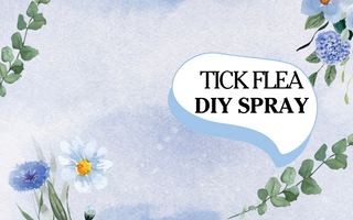 DIY Flea Spray - Must Have