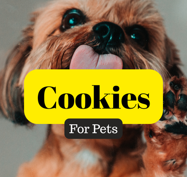 Seed Cookies for pets