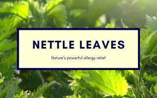 Nettle Leaves for pet allergies: A natural, safe and holistic approach