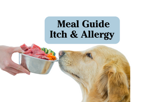 Healing Dogs with Allergies - Meal guide