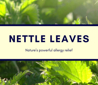 Nettle Leaves for pet allergies: A natural, safe and holistic approach