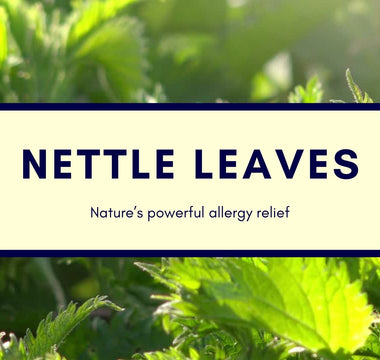 Nettle Leaves for pet allergies: A natural, safe and holistic approach