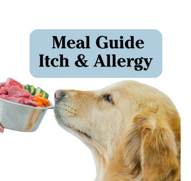 Healing Dogs with Allergies - Meal guide