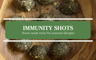 Homemade Treats for Pets to fight Seasonal Allergies - Immunity Balls