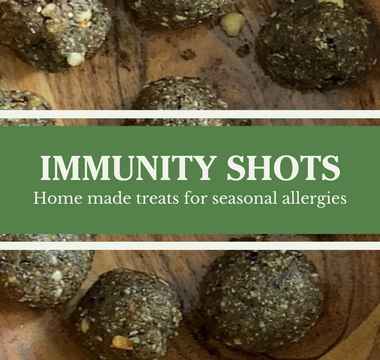 Homemade Treats for Pets to fight Seasonal Allergies - Immunity Balls