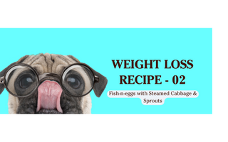 Weight Loss Meal Recipe for dogs and cats