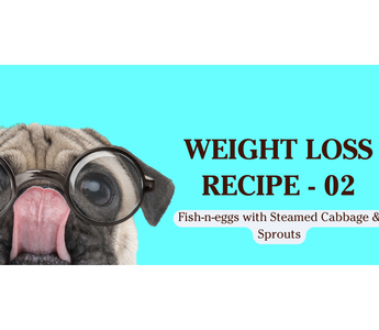 Weight Loss Meal Recipe for dogs and cats