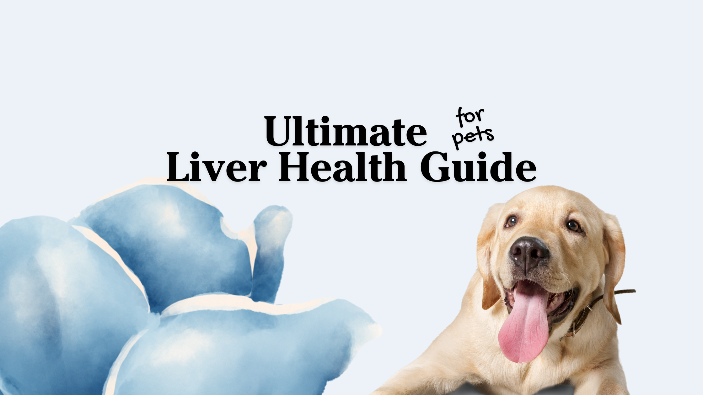 Protect and Regenerate Liver Health in Pets: A Comprehensive Guide ...