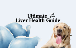 Protect and Regenerate Liver Health in Pets: A Comprehensive Guide