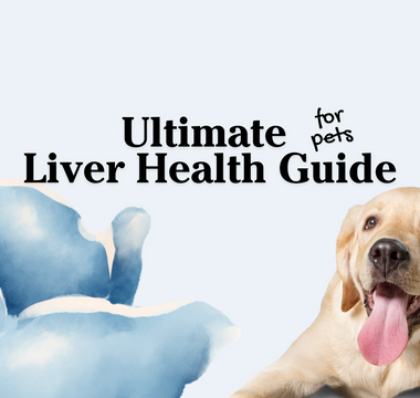 Protect and Regenerate Liver Health in Pets: A Comprehensive Guide