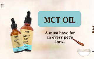 The Must-Add Supplement for Pets: MCT Oil and Its Benefits