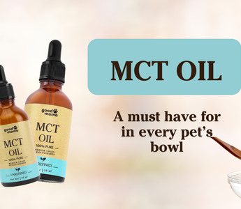 The Must-Add Supplement for Pets: MCT Oil and Its Benefits