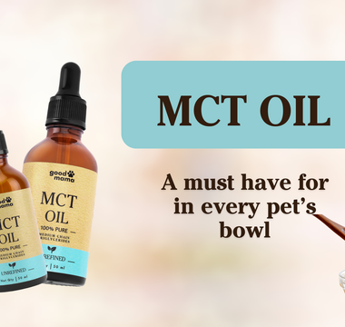 The Must-Add Supplement for Pets: MCT Oil and Its Benefits