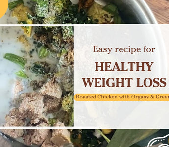 Weight loss recipes for pets - Homemade Meals!