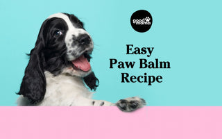 DIY - Homemade Paw, Elbow & Snout Balm