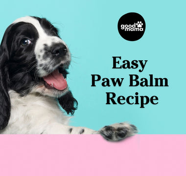 DIY - Homemade Paw, Elbow & Snout Balm