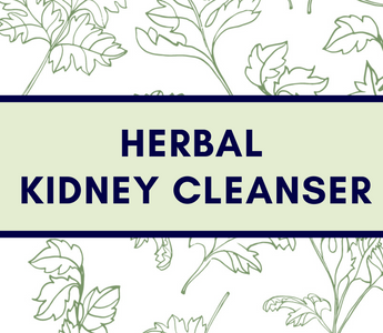 Kidney Cleanse Herbal Tea for Pets – A Simple & Natural Support