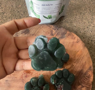 Spirulina Electrolyte Gummies!