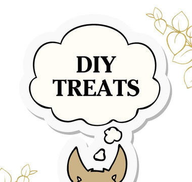 Jelly Belly - Homemade treats for pets