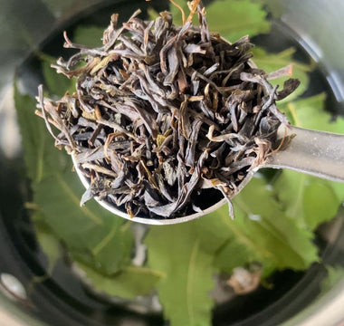 Paw Healing Herbal Spray for Pododermatitis