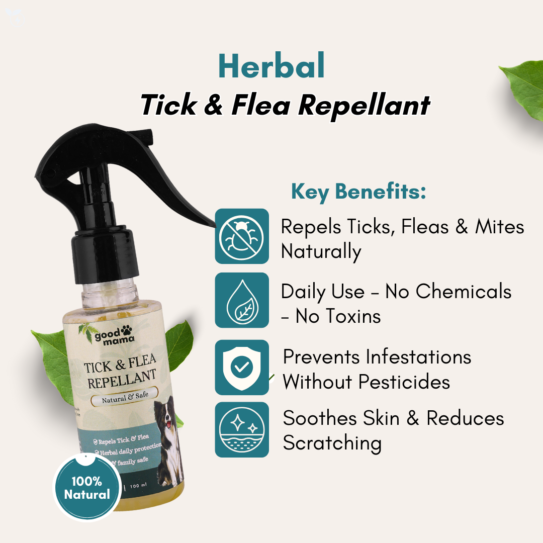 Tick & Flea Repellant Spray