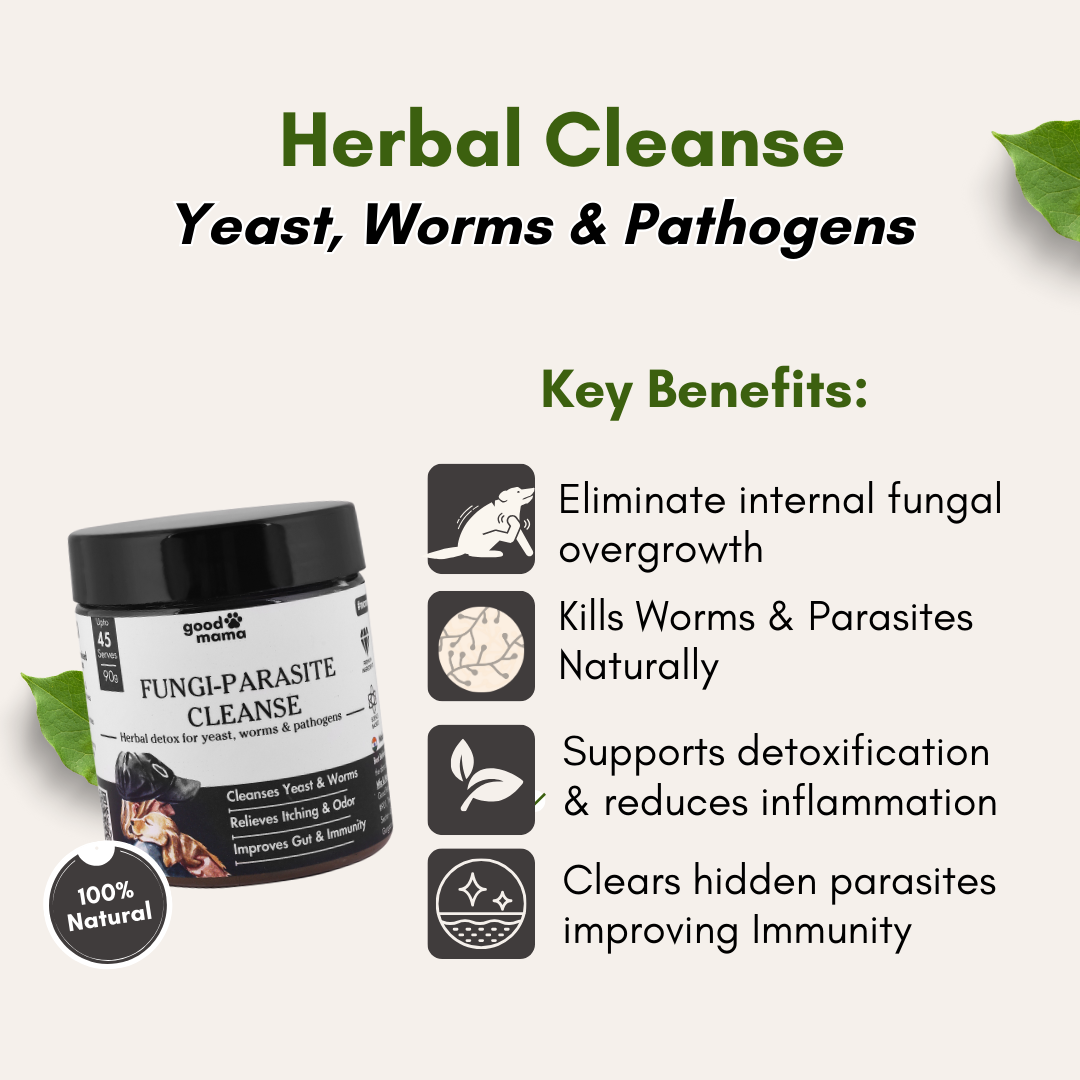 Fungi-Parasite Cleanse