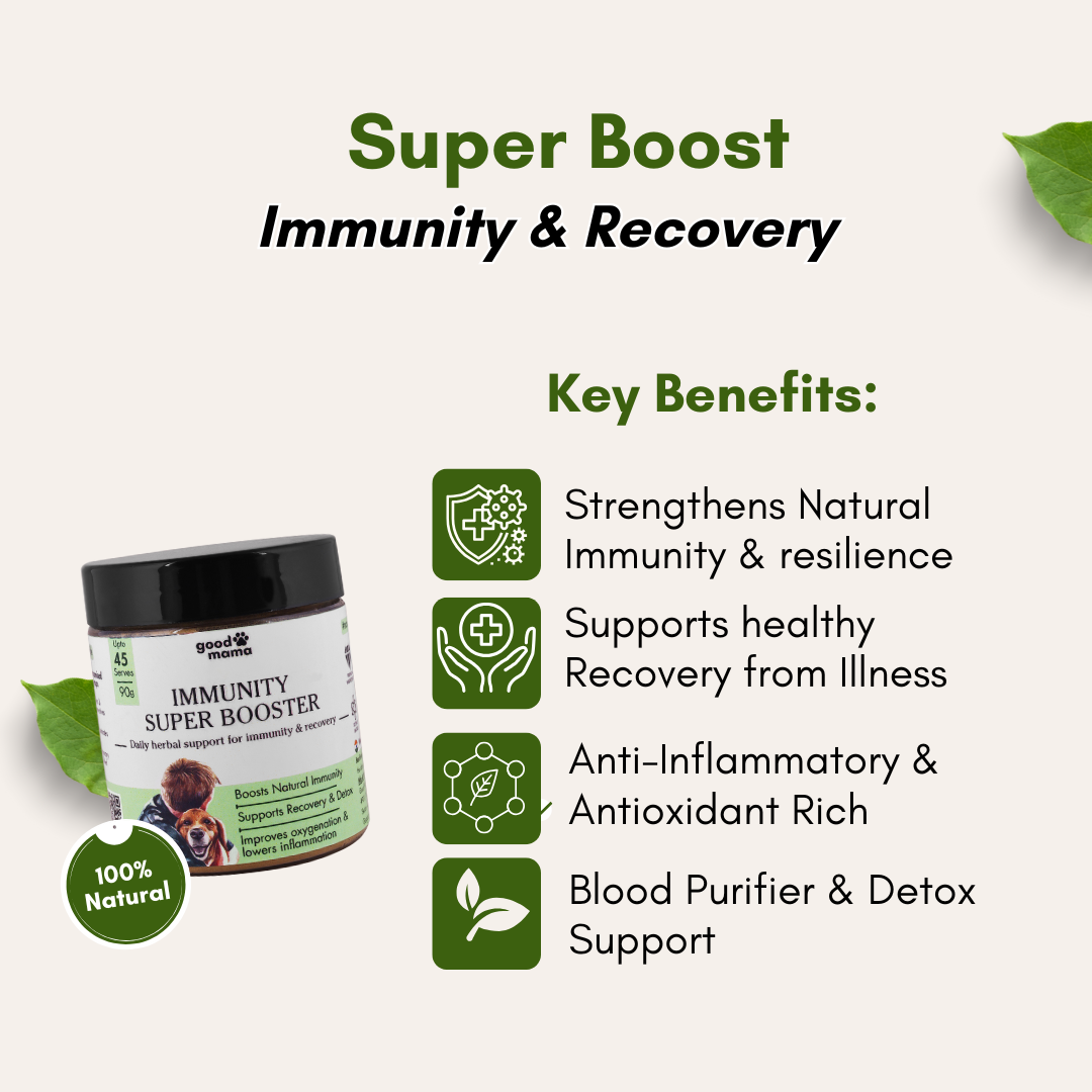 Immunity Super Booster